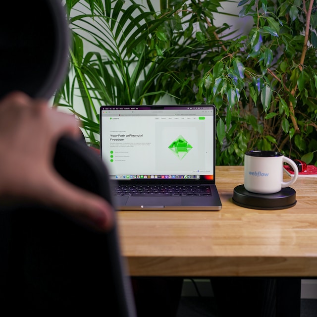 Webflow vs WordPress: A Founders Impression