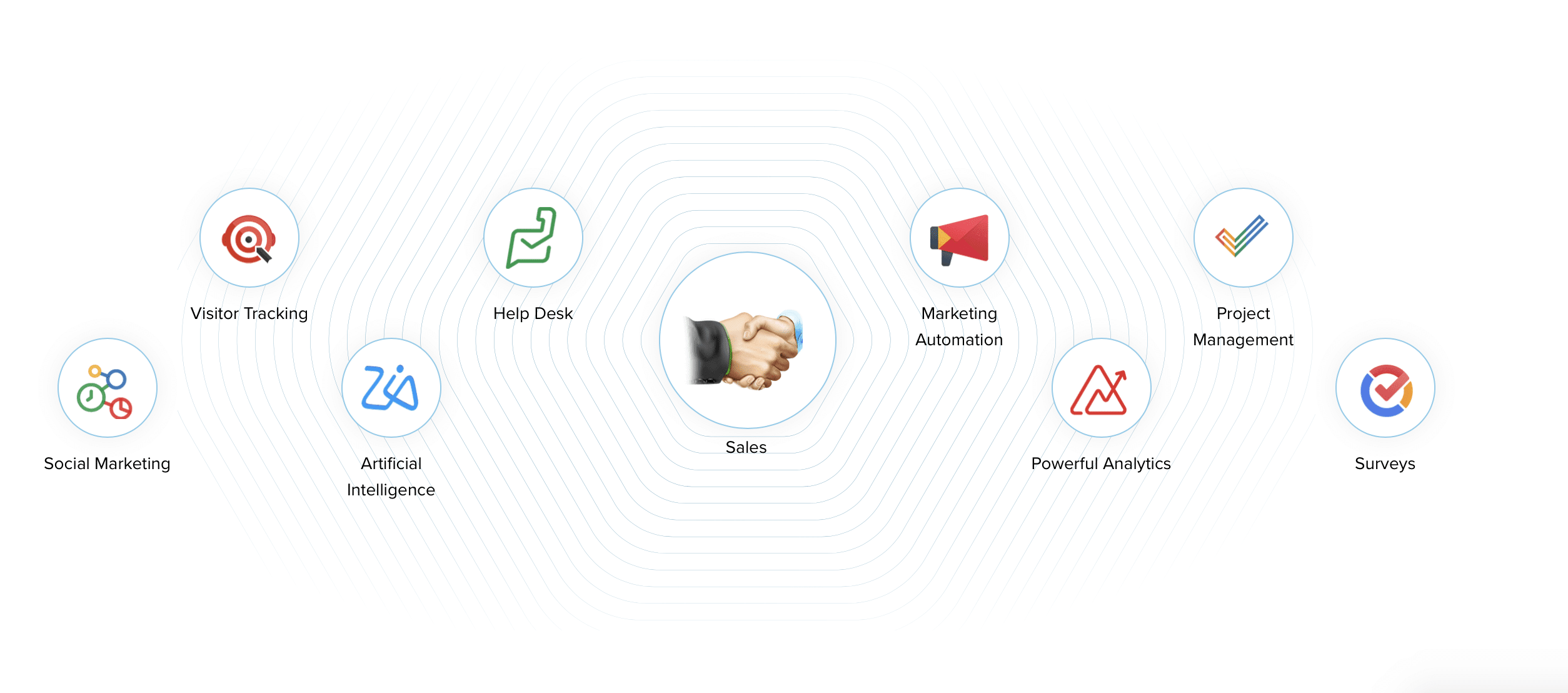 Zoho CRM Setup & Management Snapshot