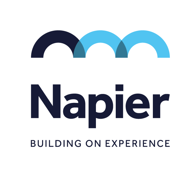 Napier Management Ltd Logo 2020