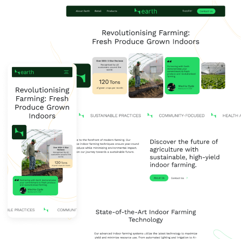 Layout for webflow
