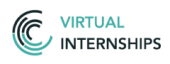 Virtual Internships Project