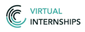 Virtual Internships Project
