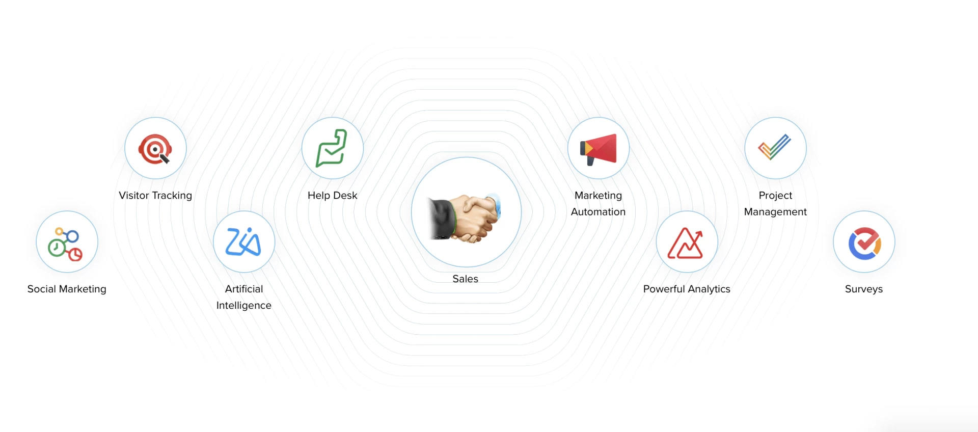Zoho CRM Setup & Management Snapshot