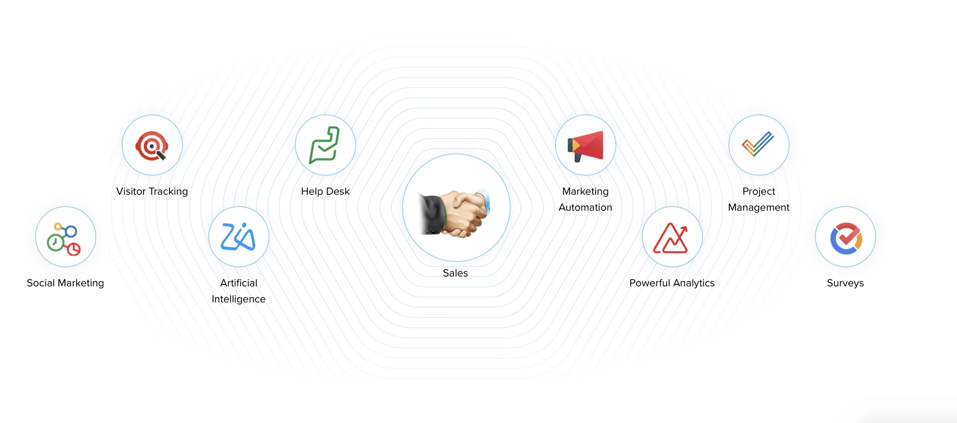 Zoho CRM Setup & Management Snapshot