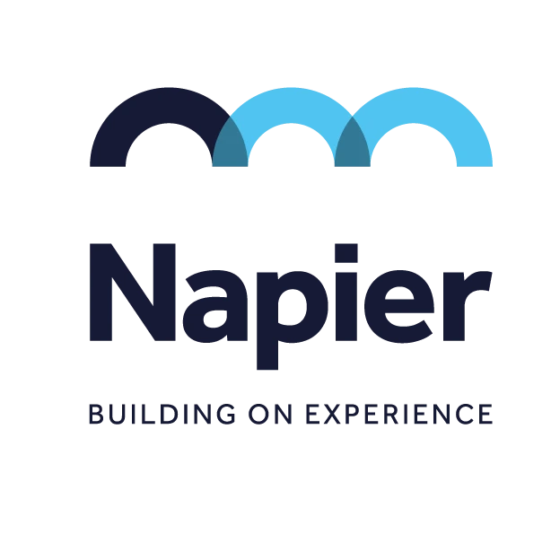 Napier Management Ltd Logo 2020