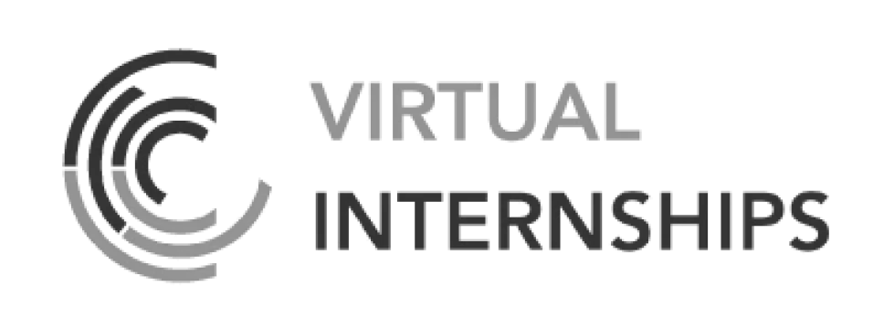 Virtual Internships