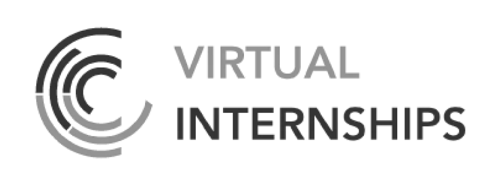 Virtual Internships