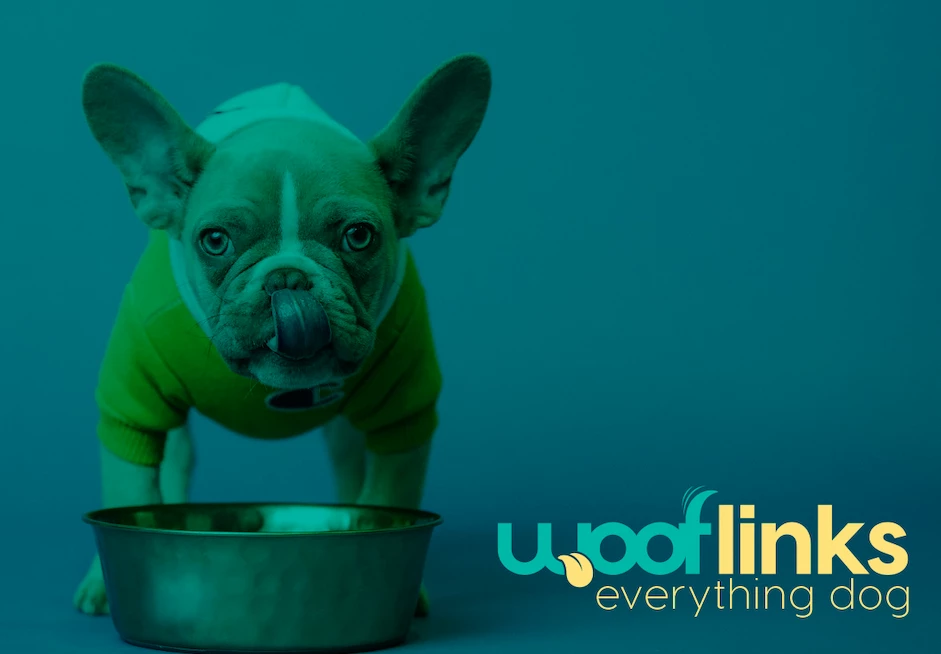 Wooflinks Logo and Branding Design