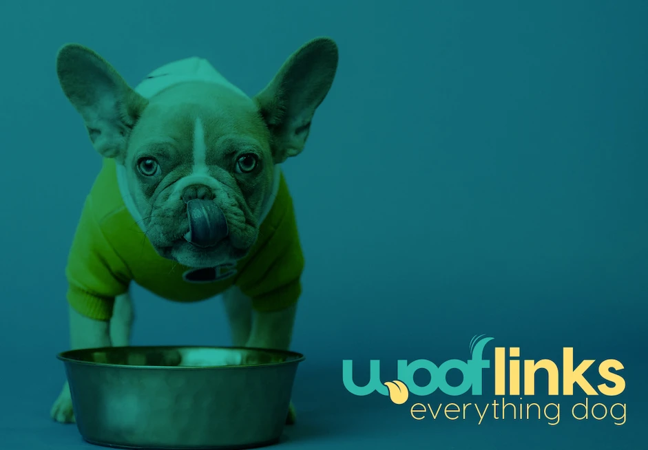 Wooflinks Logo and Branding Design