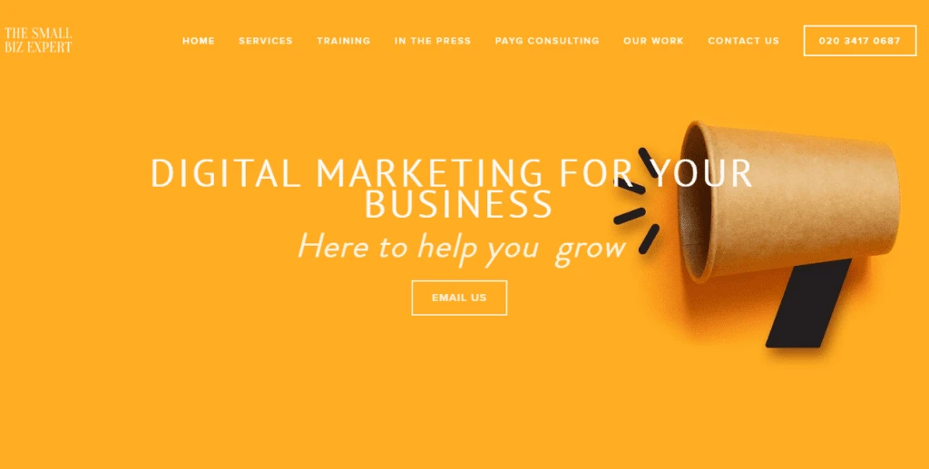 Small Biz Expert