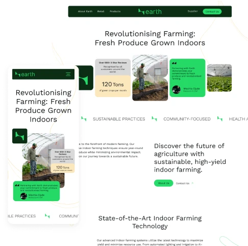 Layout for webflow