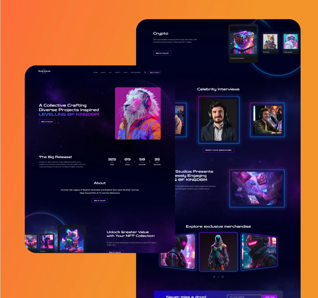 Solo Level Web Designs