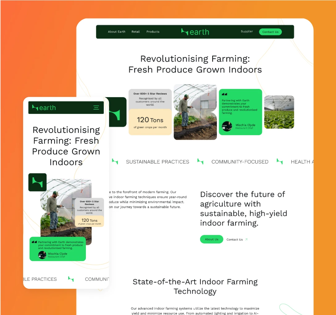 Earth Web Designs